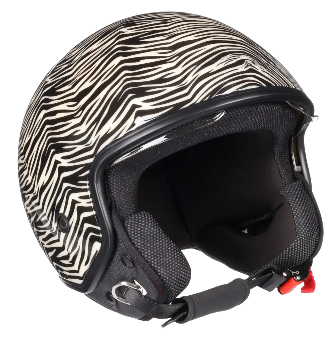 Zebra Helmpie